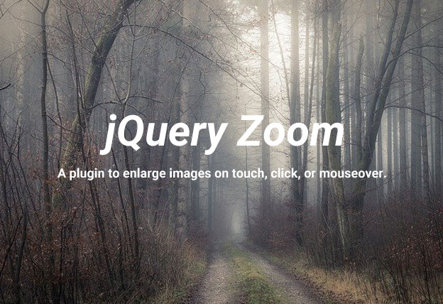 Jquery Plugin For Zooming Images On Mouseover – jQuery Zoom