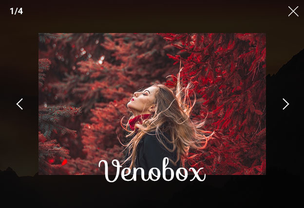 Touch Swipe Enabled Responsive Lightbox Plugin – VenoBox